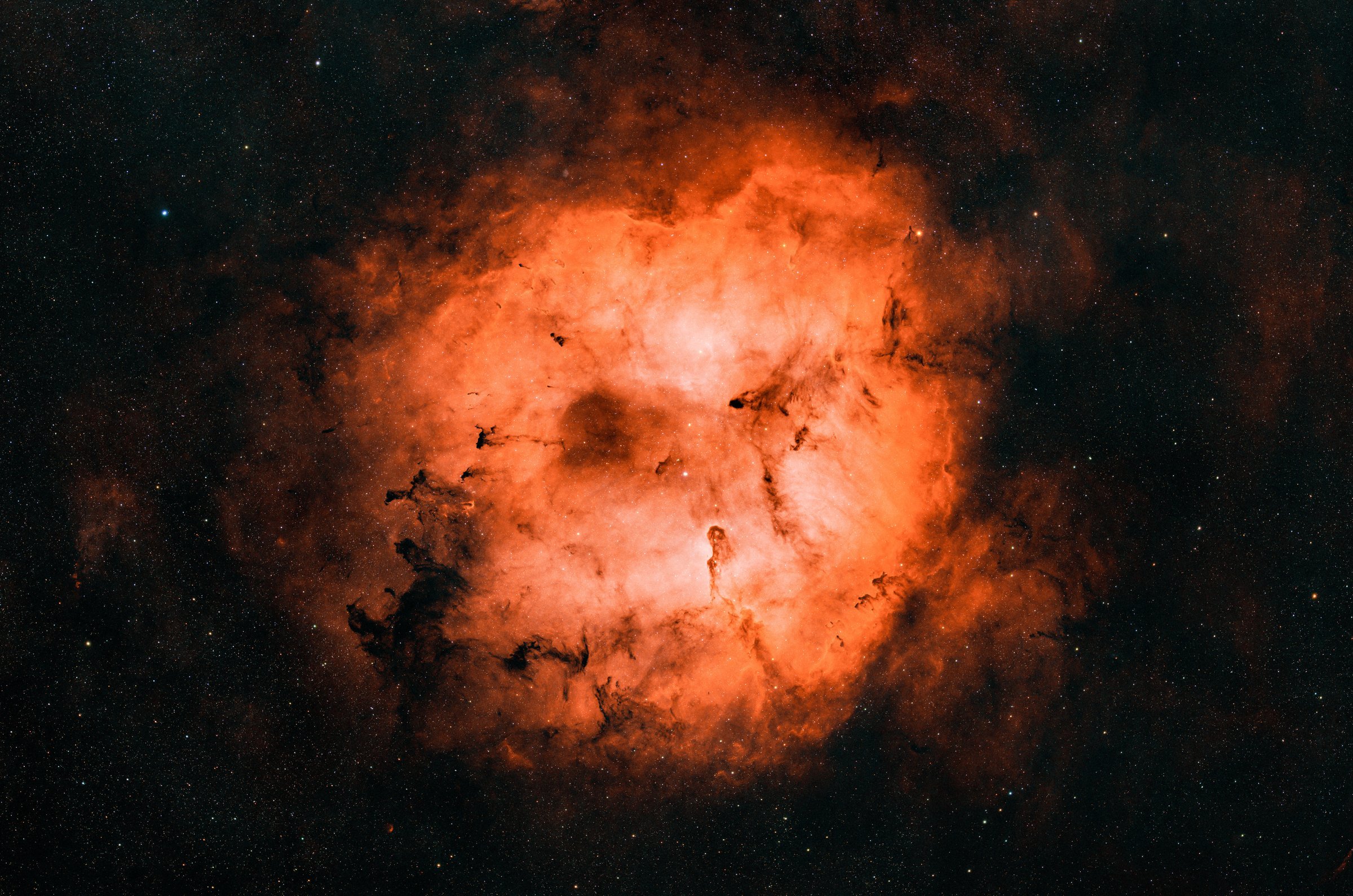 Elephant Trunk Nebula
